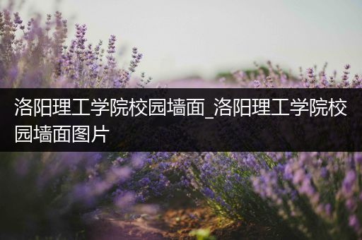 洛阳理工学院校园墙面_洛阳理工学院校园墙面图片
