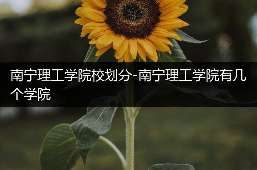 南宁理工学院校划分-南宁理工学院有几个学院