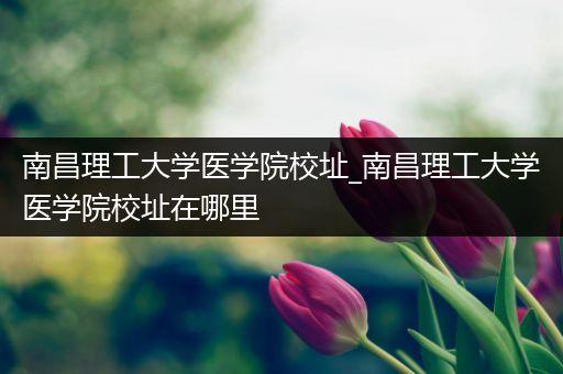 南昌理工大学医学院校址_南昌理工大学医学院校址在哪里