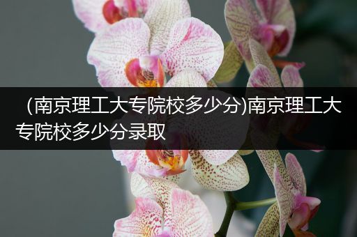 （南京理工大专院校多少分)南京理工大专院校多少分录取