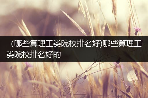（哪些算理工类院校排名好)哪些算理工类院校排名好的