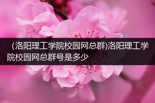 （洛阳理工学院校园网总群)洛阳理工学院校园网总群号是多少