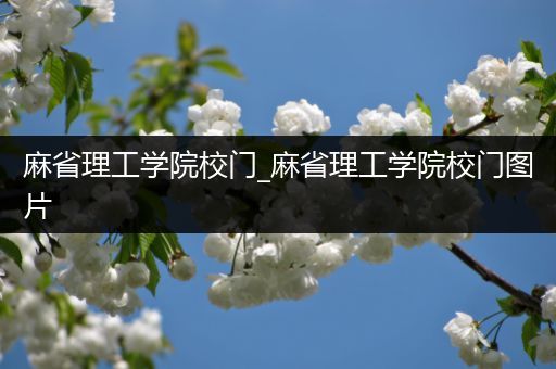 麻省理工学院校门_麻省理工学院校门图片