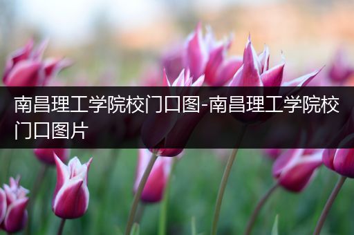 南昌理工学院校门口图-南昌理工学院校门口图片