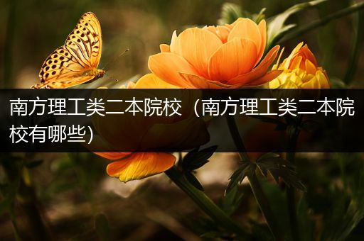 南方理工类二本院校（南方理工类二本院校有哪些）