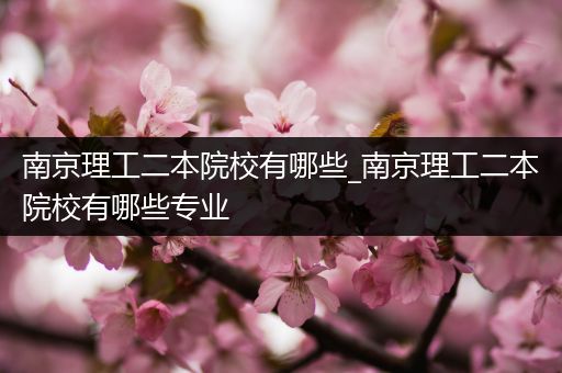 南京理工二本院校有哪些_南京理工二本院校有哪些专业