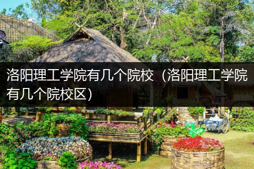 洛阳理工学院有几个院校（洛阳理工学院有几个院校区）
