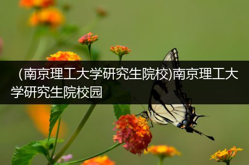 （南京理工大学研究生院校)南京理工大学研究生院校园