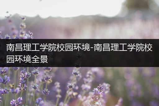 南昌理工学院校园环境-南昌理工学院校园环境全景