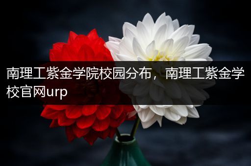 南理工紫金学院校园分布，南理工紫金学校官网urp