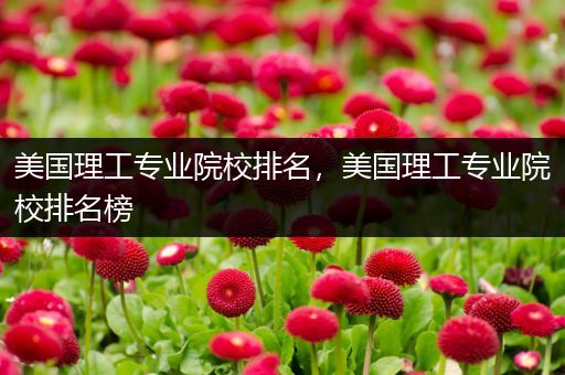 美国理工专业院校排名，美国理工专业院校排名榜