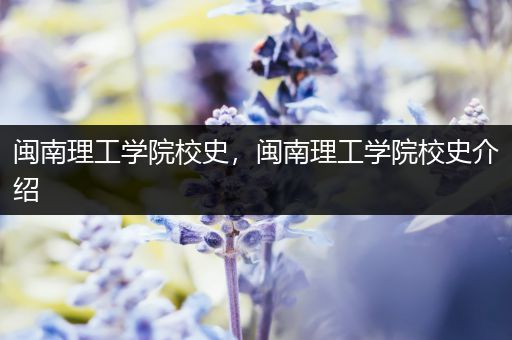 闽南理工学院校史，闽南理工学院校史介绍