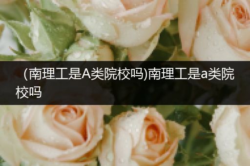 （南理工是A类院校吗)南理工是a类院校吗