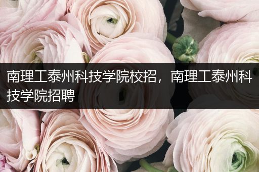 南理工泰州科技学院校招，南理工泰州科技学院招聘