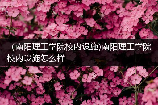 （南阳理工学院校内设施)南阳理工学院校内设施怎么样