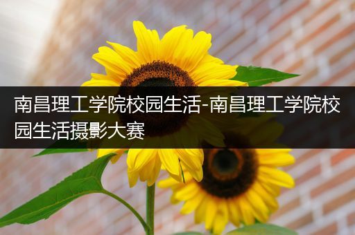南昌理工学院校园生活-南昌理工学院校园生活摄影大赛