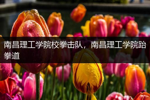 南昌理工学院校拳击队，南昌理工学院跆拳道