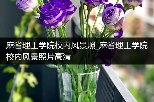 麻省理工学院校内风景照_麻省理工学院校内风景照片高清