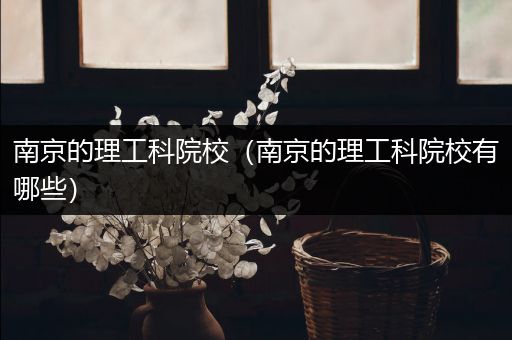 南京的理工科院校（南京的理工科院校有哪些）