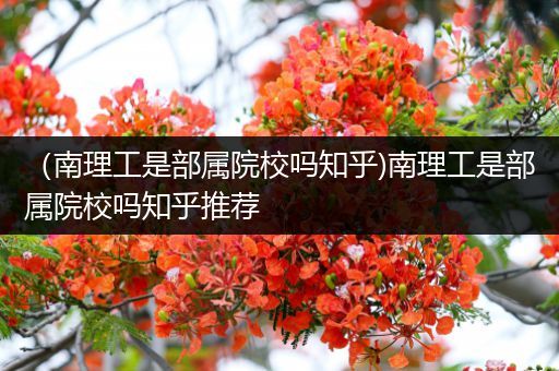 （南理工是部属院校吗知乎)南理工是部属院校吗知乎推荐