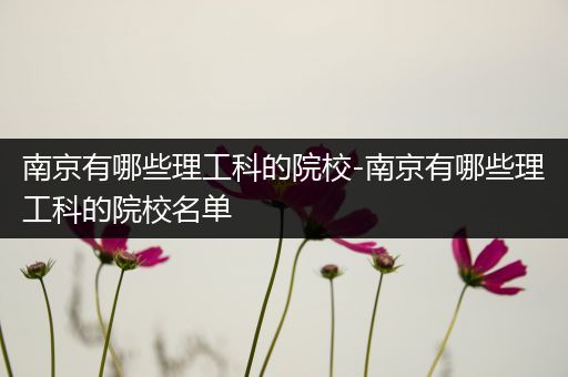 南京有哪些理工科的院校-南京有哪些理工科的院校名单