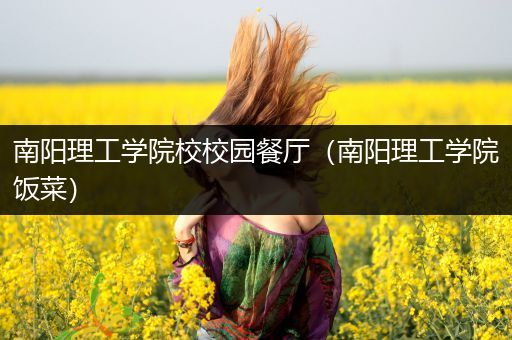 南阳理工学院校校园餐厅（南阳理工学院饭菜）