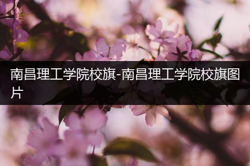 南昌理工学院校旗-南昌理工学院校旗图片