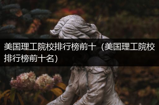 美国理工院校排行榜前十（美国理工院校排行榜前十名）
