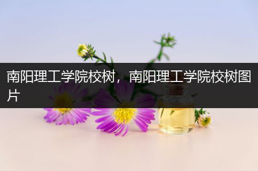 南阳理工学院校树，南阳理工学院校树图片