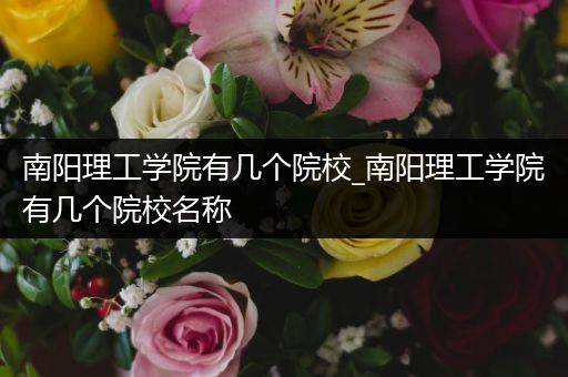 南阳理工学院有几个院校_南阳理工学院有几个院校名称