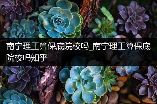 南宁理工算保底院校吗_南宁理工算保底院校吗知乎