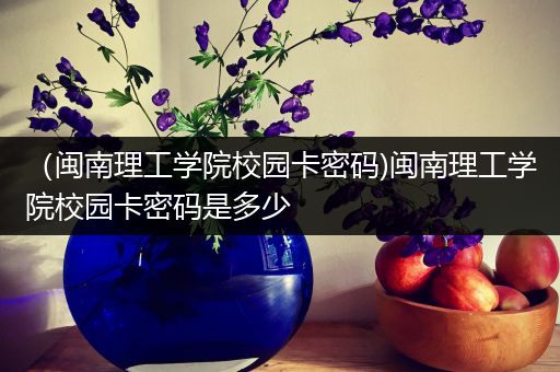 （闽南理工学院校园卡密码)闽南理工学院校园卡密码是多少