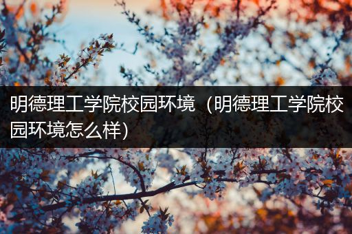 明德理工学院校园环境（明德理工学院校园环境怎么样）