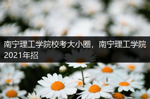 南宁理工学院校考大小圈，南宁理工学院2021年招