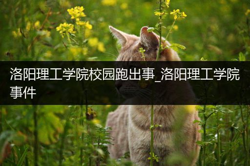 洛阳理工学院校园跑出事_洛阳理工学院事件