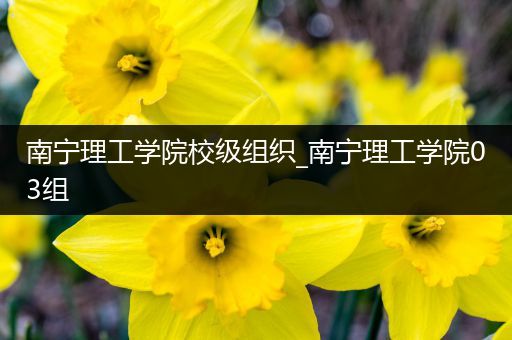 南宁理工学院校级组织_南宁理工学院03组