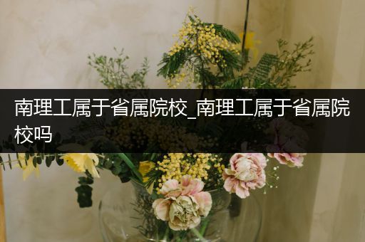 南理工属于省属院校_南理工属于省属院校吗