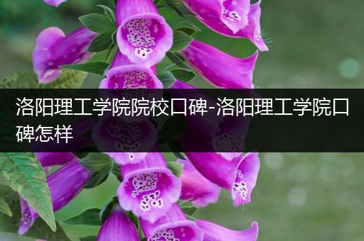 洛阳理工学院院校口碑-洛阳理工学院口碑怎样