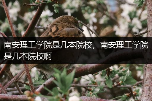 南安理工学院是几本院校，南安理工学院是几本院校啊
