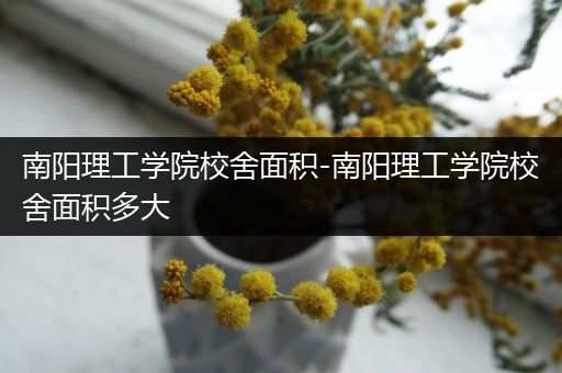 南阳理工学院校舍面积-南阳理工学院校舍面积多大