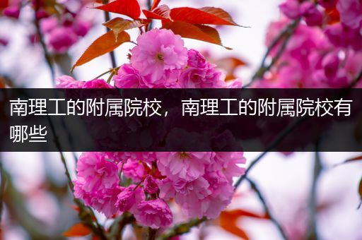 南理工的附属院校，南理工的附属院校有哪些