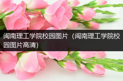 闽南理工学院校园图片（闽南理工学院校园图片高清）