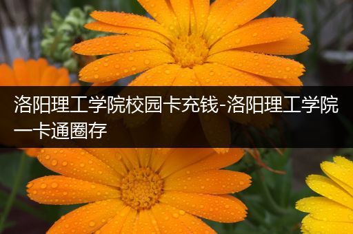 洛阳理工学院校园卡充钱-洛阳理工学院一卡通圈存