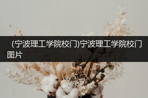 （宁波理工学院校门)宁波理工学院校门图片