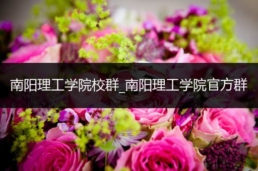 南阳理工学院校群_南阳理工学院官方群