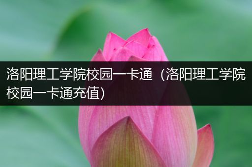 洛阳理工学院校园一卡通（洛阳理工学院校园一卡通充值）