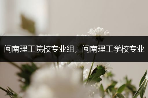闽南理工院校专业组，闽南理工学校专业