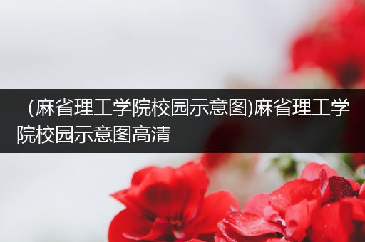 （麻省理工学院校园示意图)麻省理工学院校园示意图高清