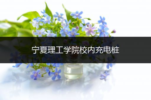 宁夏理工学院校内充电桩