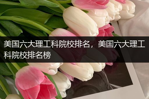 美国六大理工科院校排名，美国六大理工科院校排名榜